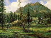 Albert Bierstadt Sierra_Nevada_Mountains painting